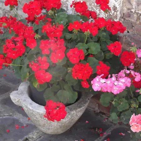 Holiday home Les Ecuries *